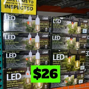 LED String Lights 14.63 m (48 ft.) in store