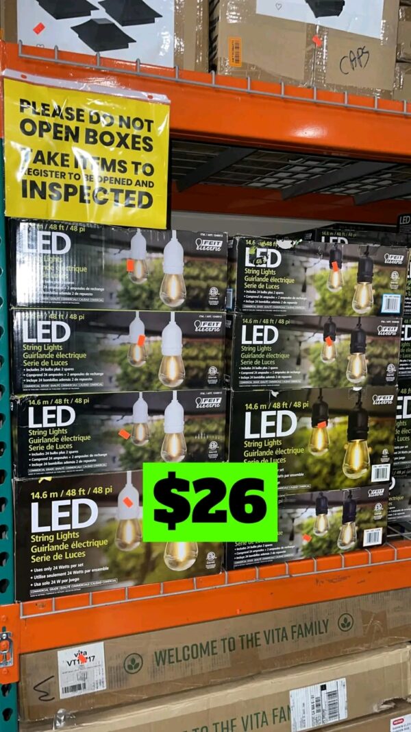 LED String Lights 14.63 m (48 ft.) in store